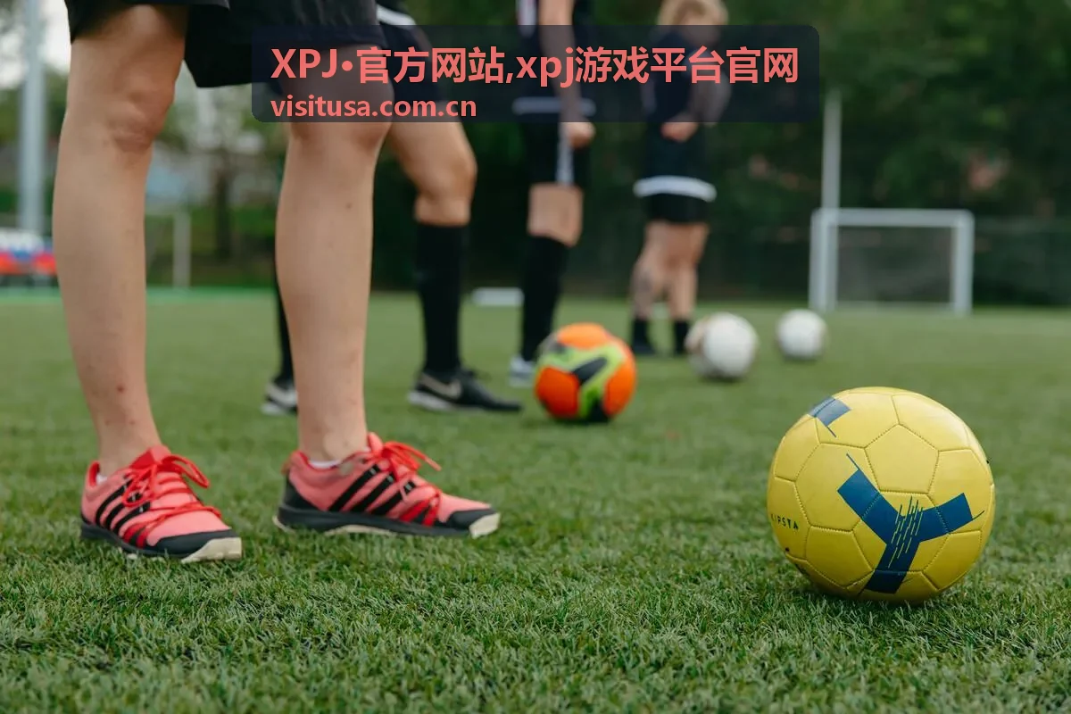 XPJ·官方网站平台信息说明界面