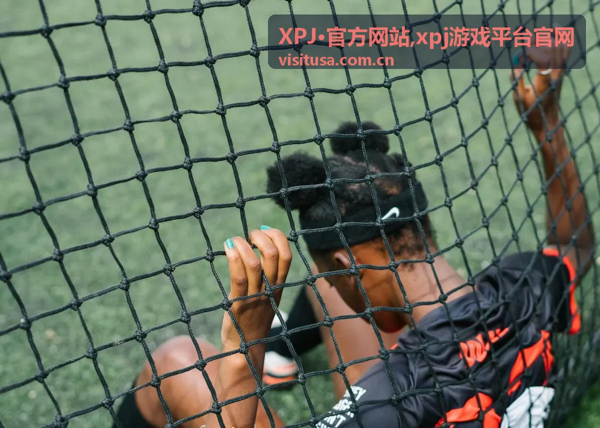 XPJ·官方网站平台栏目说明